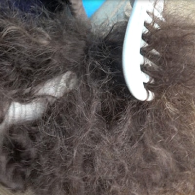 What Causes Tangling on Hair Systems and How to Solve It